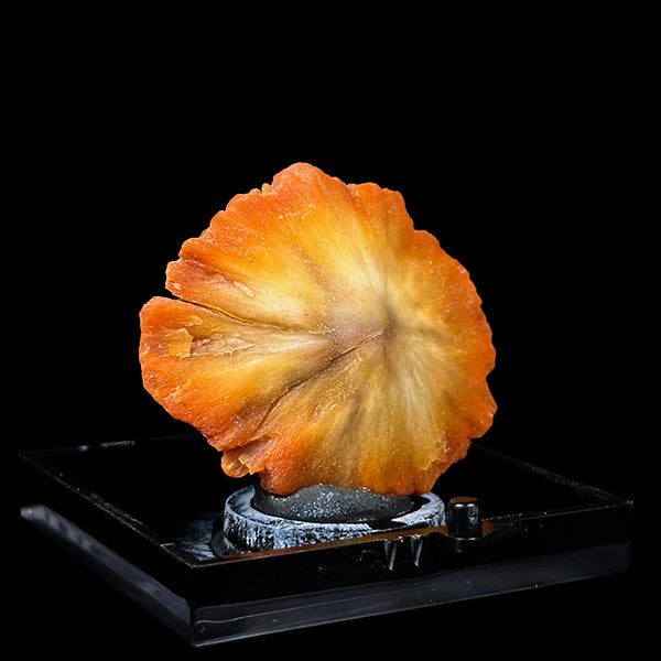 Sunflower Scolecite Natural Minaral Specimen G #0493