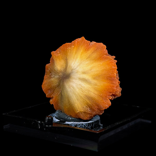 Sunflower Scolecite Natural Minaral Specimen G #0493