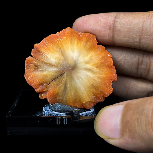 Sunflower Scolecite Natural Minaral Specimen G #0493