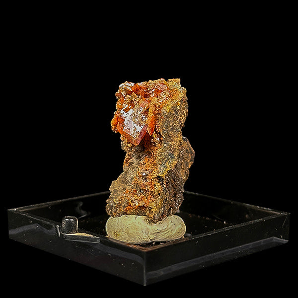 Rare Orange Wulfenite Natural Mineral Speciman G #0487