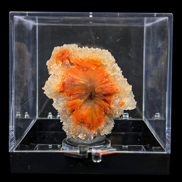 Sunflower Scolecite With Chalcedony Natural Minaral Specimen G #0490
