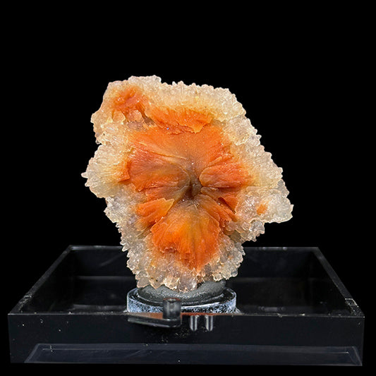 Sunflower Scolecite With Chalcedony Natural Minaral Specimen G #0490