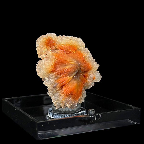 Sunflower Scolecite With Chalcedony Natural Minaral Specimen G #0490