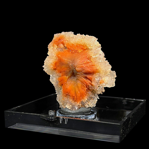Sunflower Scolecite With Chalcedony Natural Minaral Specimen G #0490