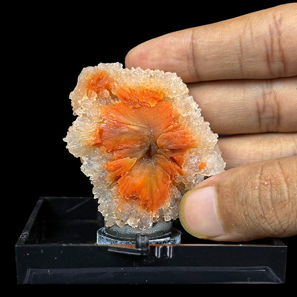 Sunflower Scolecite With Chalcedony Natural Minaral Specimen G #0490