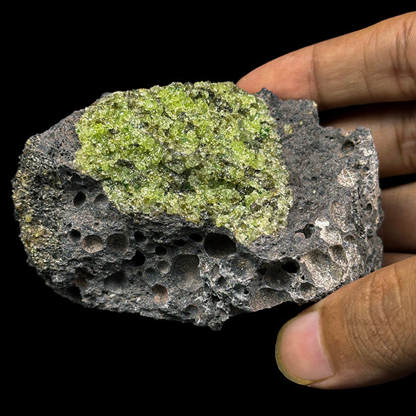 Peridot Cluster Natural Mineral Specimen. G #0491