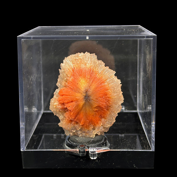 Sunflower Scolecite With Chalcedony Natural Minaral Specimen G #0505