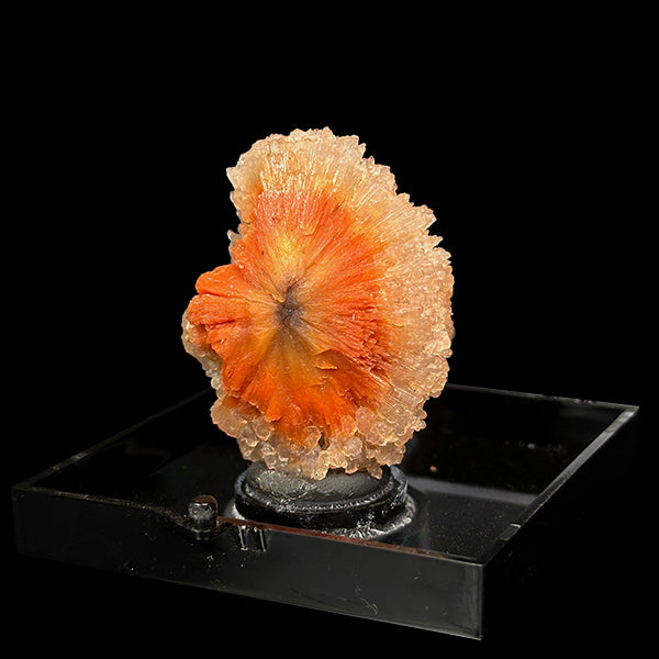 Sunflower Scolecite With Chalcedony Natural Minaral Specimen G #0505