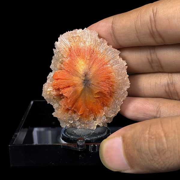 Sunflower Scolecite With Chalcedony Natural Minaral Specimen G #0505