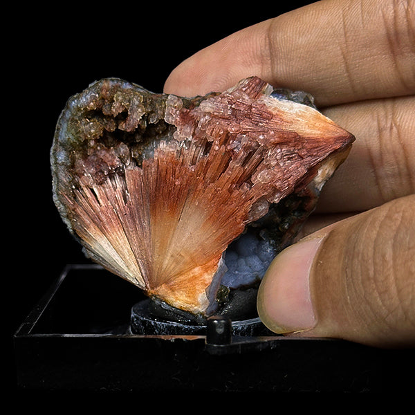 Scolecite With Chalcedony Natural Minaral Specimen G #0504
