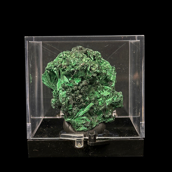 Malachite Cluster Natural Mineral Specimen. G #0507
