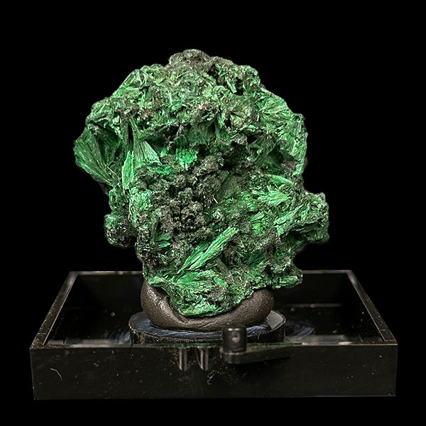 Malachite Cluster Natural Mineral Specimen. G #0507