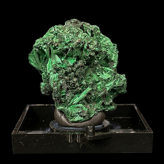 Malachite Cluster Natural Mineral Specimen. G #0507