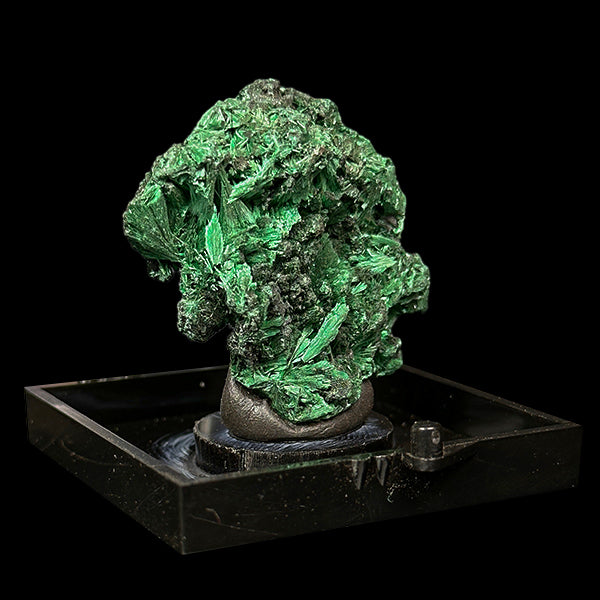 Malachite Cluster Natural Mineral Specimen. G #0507