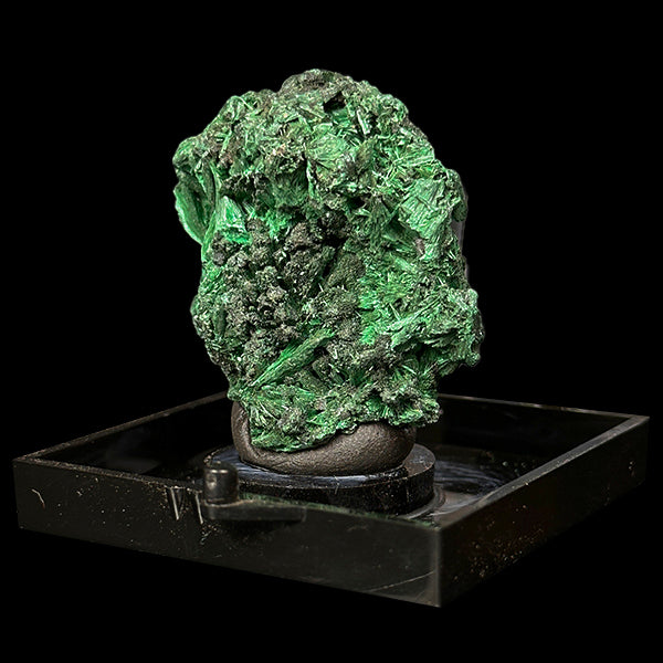 Malachite Cluster Natural Mineral Specimen. G #0507