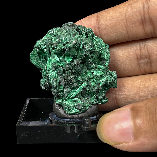 Malachite Cluster Natural Mineral Specimen. G #0507