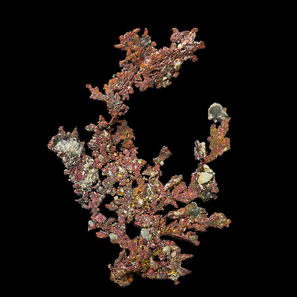 Native Copper Natural Minaral Specimen G #0510