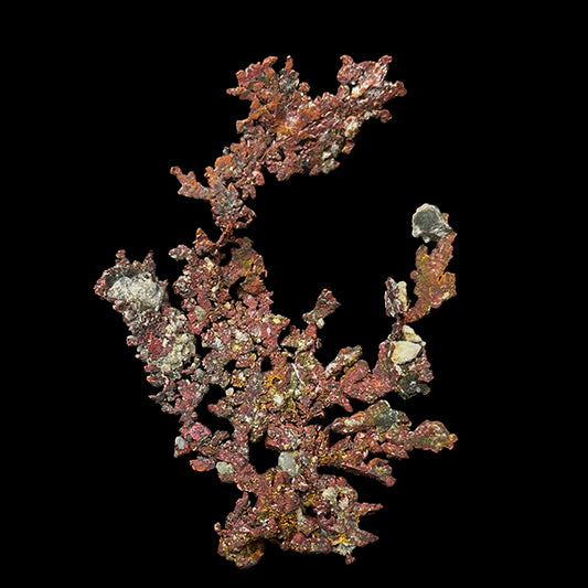 Native Copper Natural Minaral Specimen G #0510