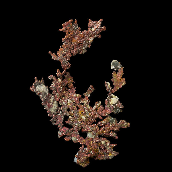 Native Copper Natural Minaral Specimen G #0510