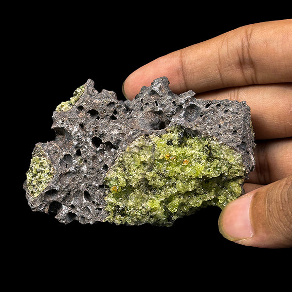 Peridot Cluster Natural Mineral Specimen. G #0498