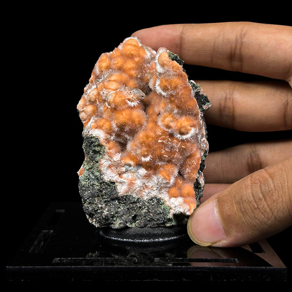 Thomsonite With Mesolite Natural Mineral Specimen. G #0547
