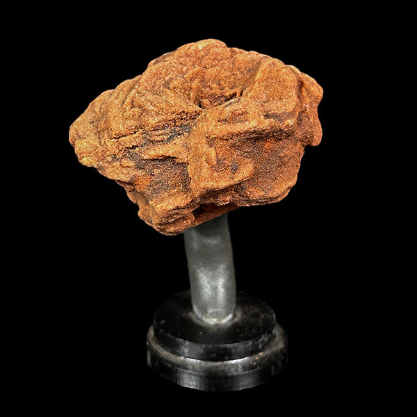Barite Rose Mineral Specimen G #0564