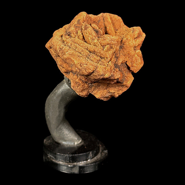 Barite Rose Mineral Specimen G #0564