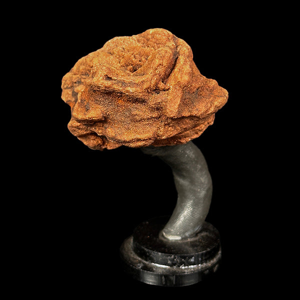 Barite Rose Mineral Specimen G #0564