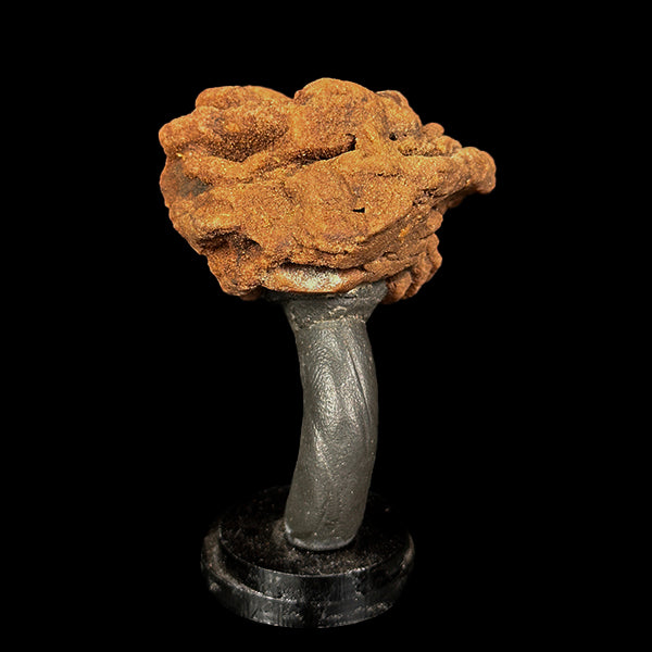 Barite Rose Mineral Specimen G #0564