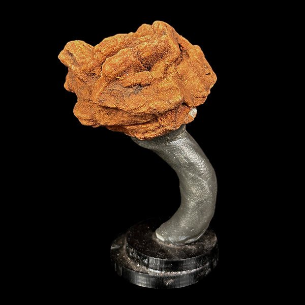 Barite Rose Mineral Specimen G #0564