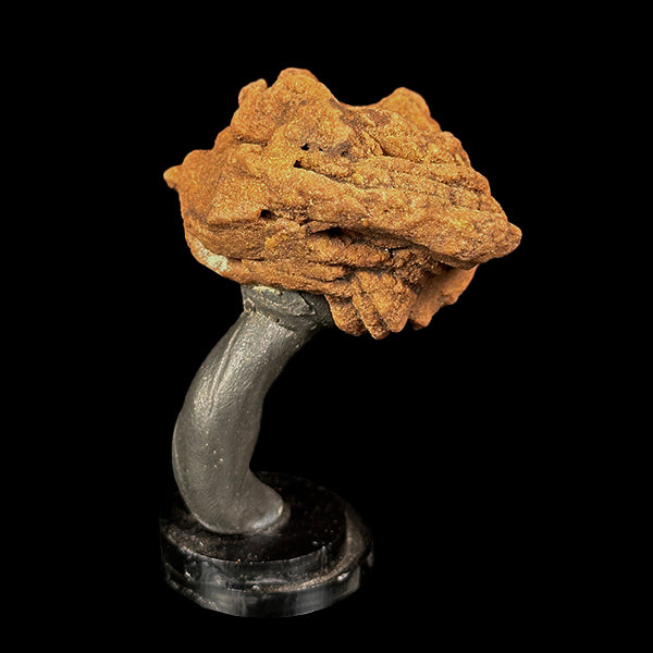 Barite Rose Mineral Specimen G #0564