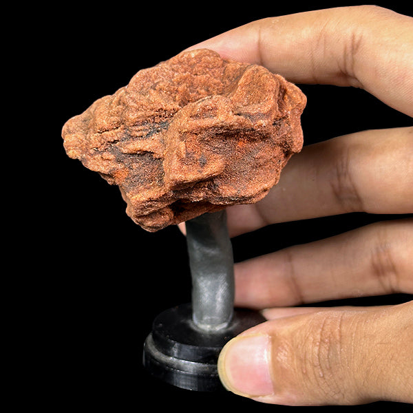 Barite Rose Mineral Specimen G #0564