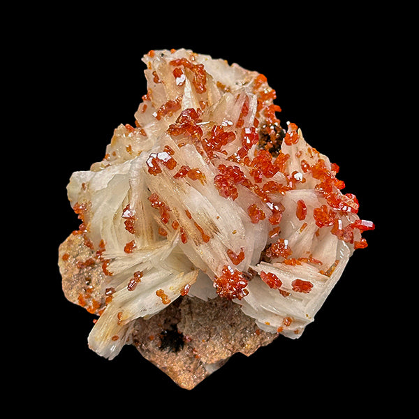 Vanadinite on Barite Natural Mineral Specimen G #0550