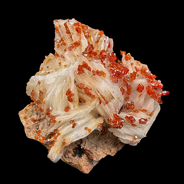 Vanadinite on Barite Natural Mineral Specimen G #0550