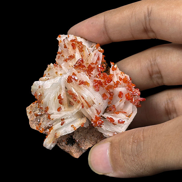 Vanadinite on Barite Natural Mineral Specimen G #0550