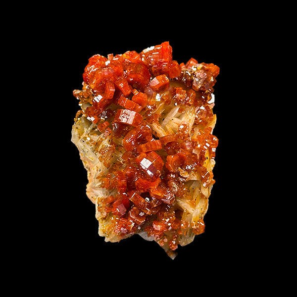 Dark Red Vanadinite Cluster Natural Mineral Specimen. G #0535
