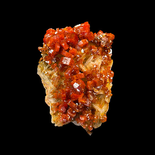 Dark Red Vanadinite Cluster Natural Mineral Specimen. G #0535