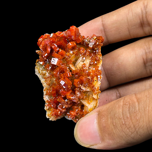 Dark Red Vanadinite Cluster Natural Mineral Specimen. G #0535