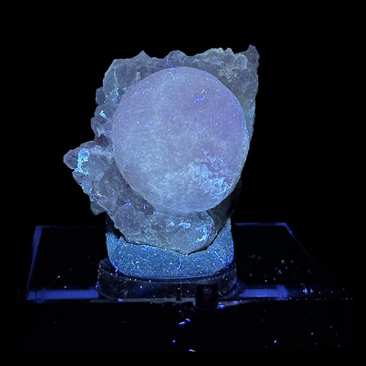 Fluorite With Amethyst (UV Reactive) Natural Mineral Specimen. G #0537
