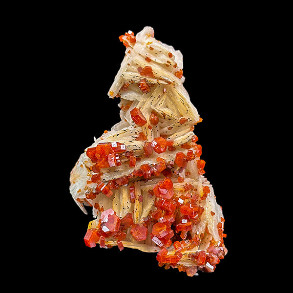 Vanadinite on Barite Natural Mineral Specimen G #0544