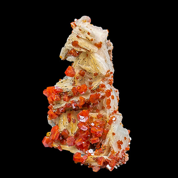 Vanadinite on Barite Natural Mineral Specimen G #0544