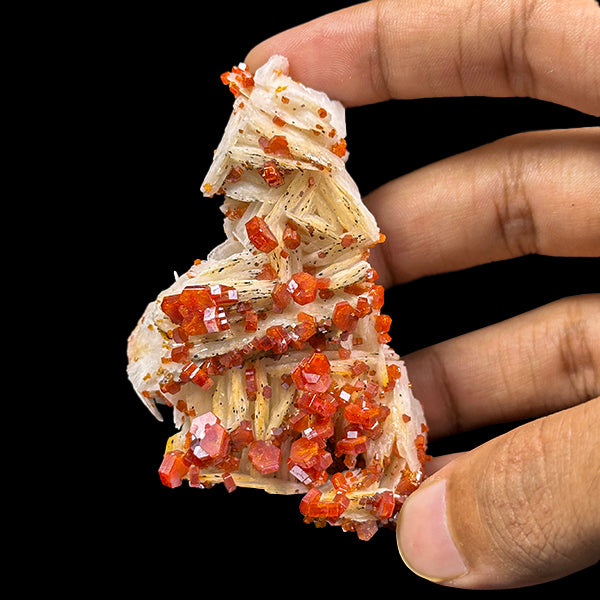 Vanadinite on Barite Natural Mineral Specimen G #0544