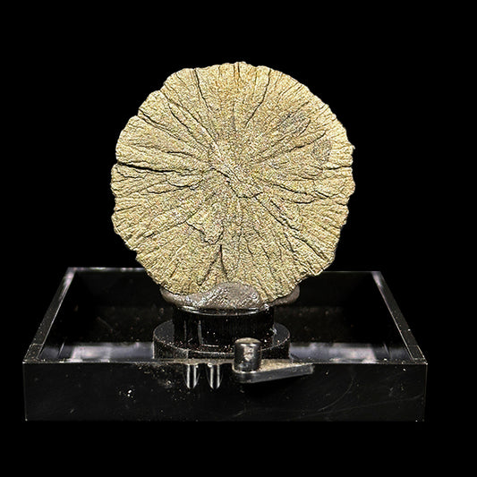 Golden Sheen Sun Pyrite Natural Mineral Specimen. G #0554