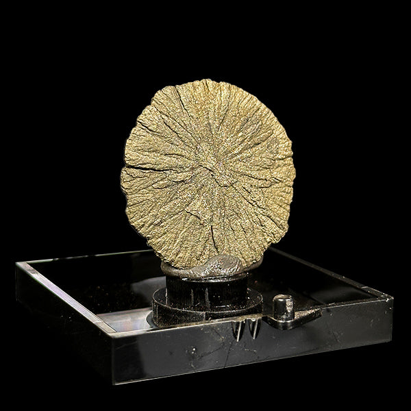 Golden Sheen Sun Pyrite Natural Mineral Specimen. G #0554