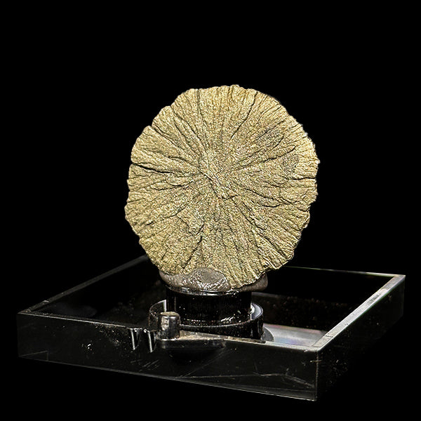 Golden Sheen Sun Pyrite Natural Mineral Specimen. G #0554