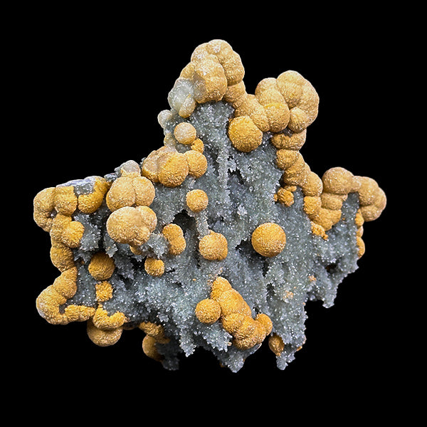 Gyrolite Coated With Chalcedony Natural Mineral Specimen G #0568