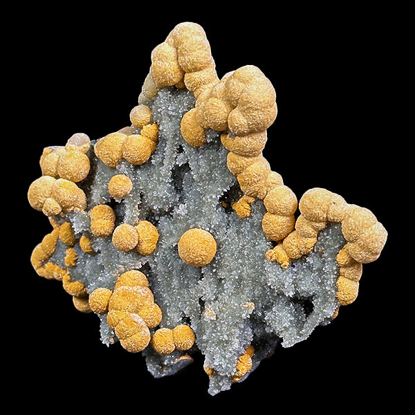 Gyrolite Coated With Chalcedony Natural Mineral Specimen G #0568