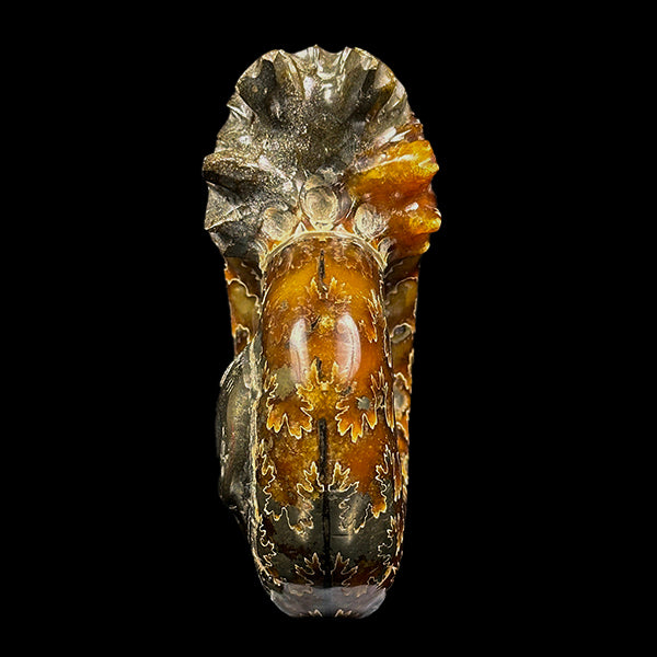 Ammonite With Pyrite Natural Mineral Specimen G #0574