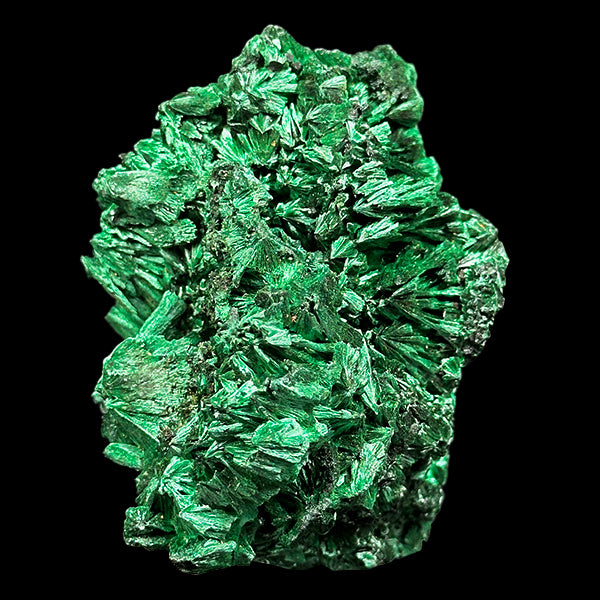 Velvet Malachite Natural Mineral Specimen. G #0581