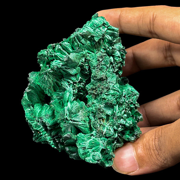 Velvet Malachite Natural Mineral Specimen. G #0581